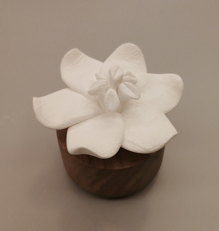 Anoq - Wholesale Reed Diffuser - Fragrance diffuser - Jasmine Flower - Ambient Perfumer4