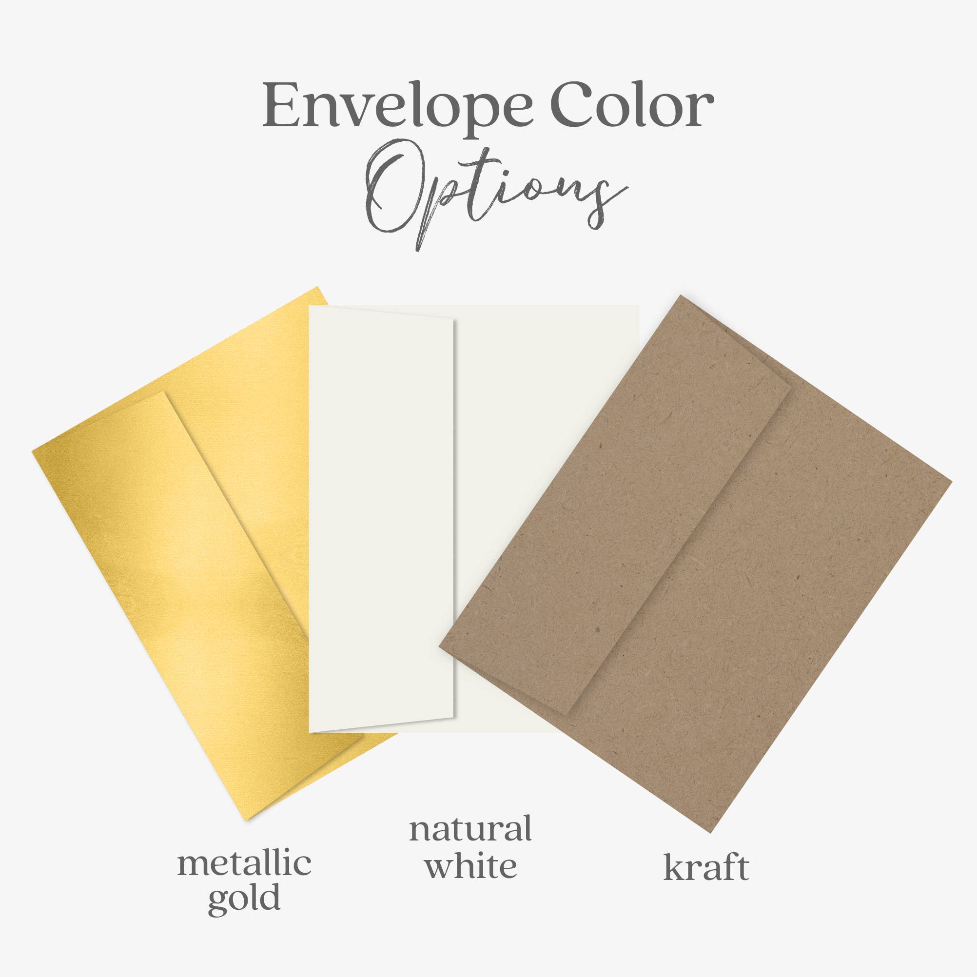 Blue Thistle - Wholesale Christmas Card - Merry Christmas Card, Happy Holidays, Eco Friendly3