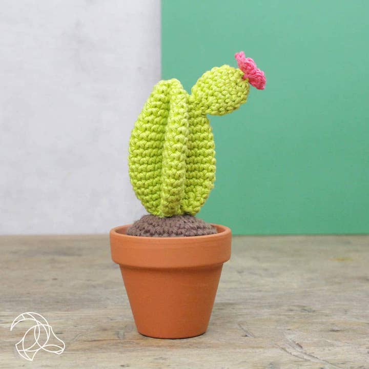 Hardicraft - Wholesale DIY Craft Kit - DIY Crochet Kit - Cacti1