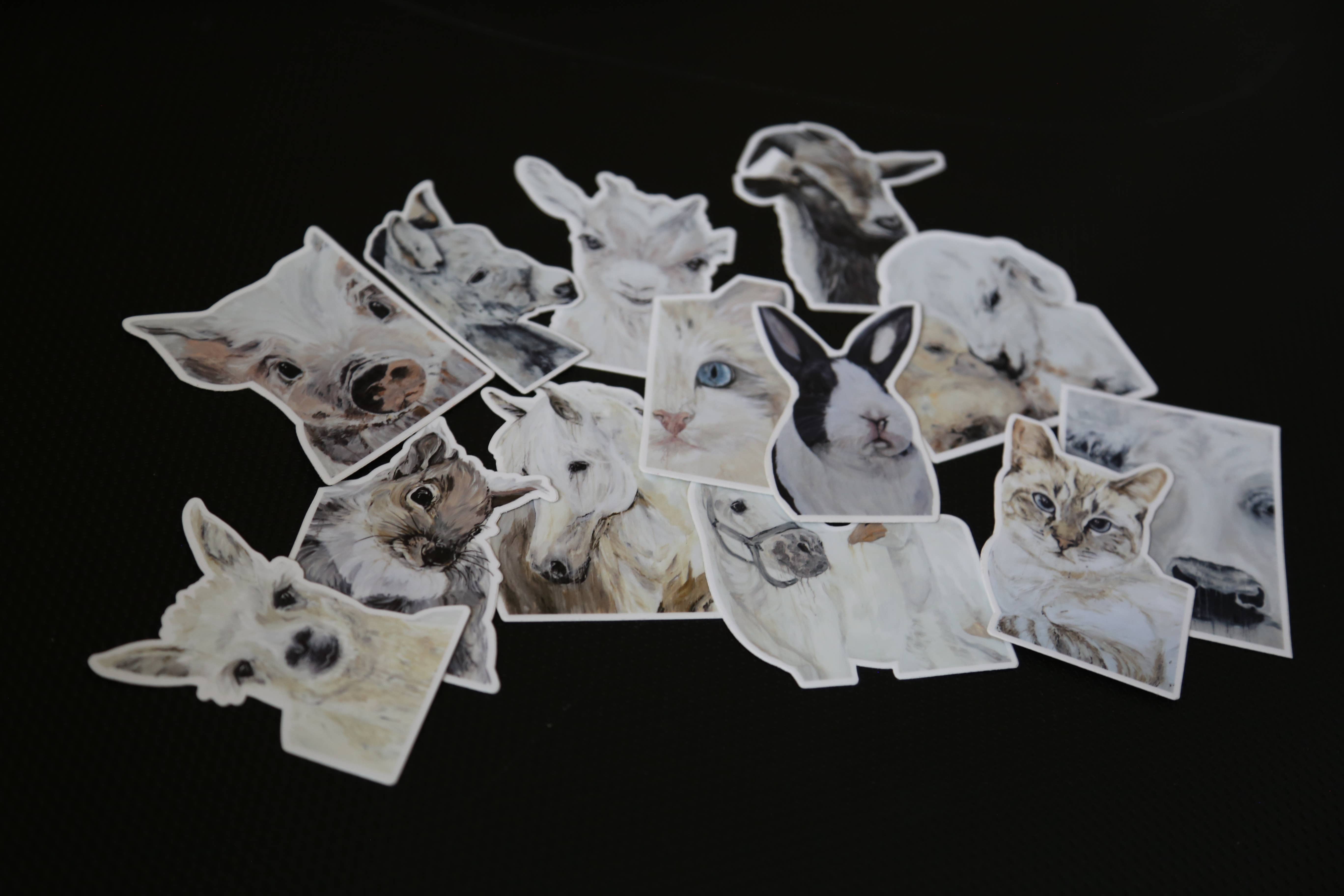 Shirley Kay Art - Wholesale Sticker - Die Cut Sticker - "Petunia"1