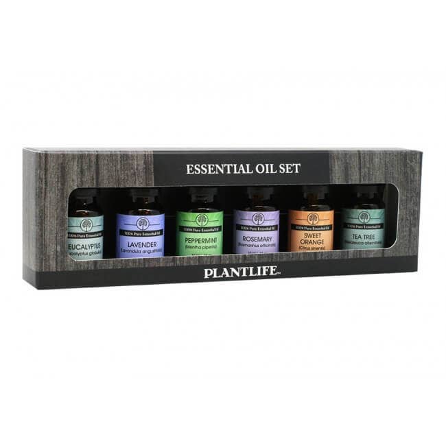 Basic Sampler Set for wholesale by Plantlife