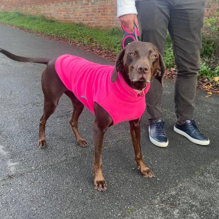 Doghouse – wholesale Tröja - Hund – Hundtröja i fleece för stora raser12