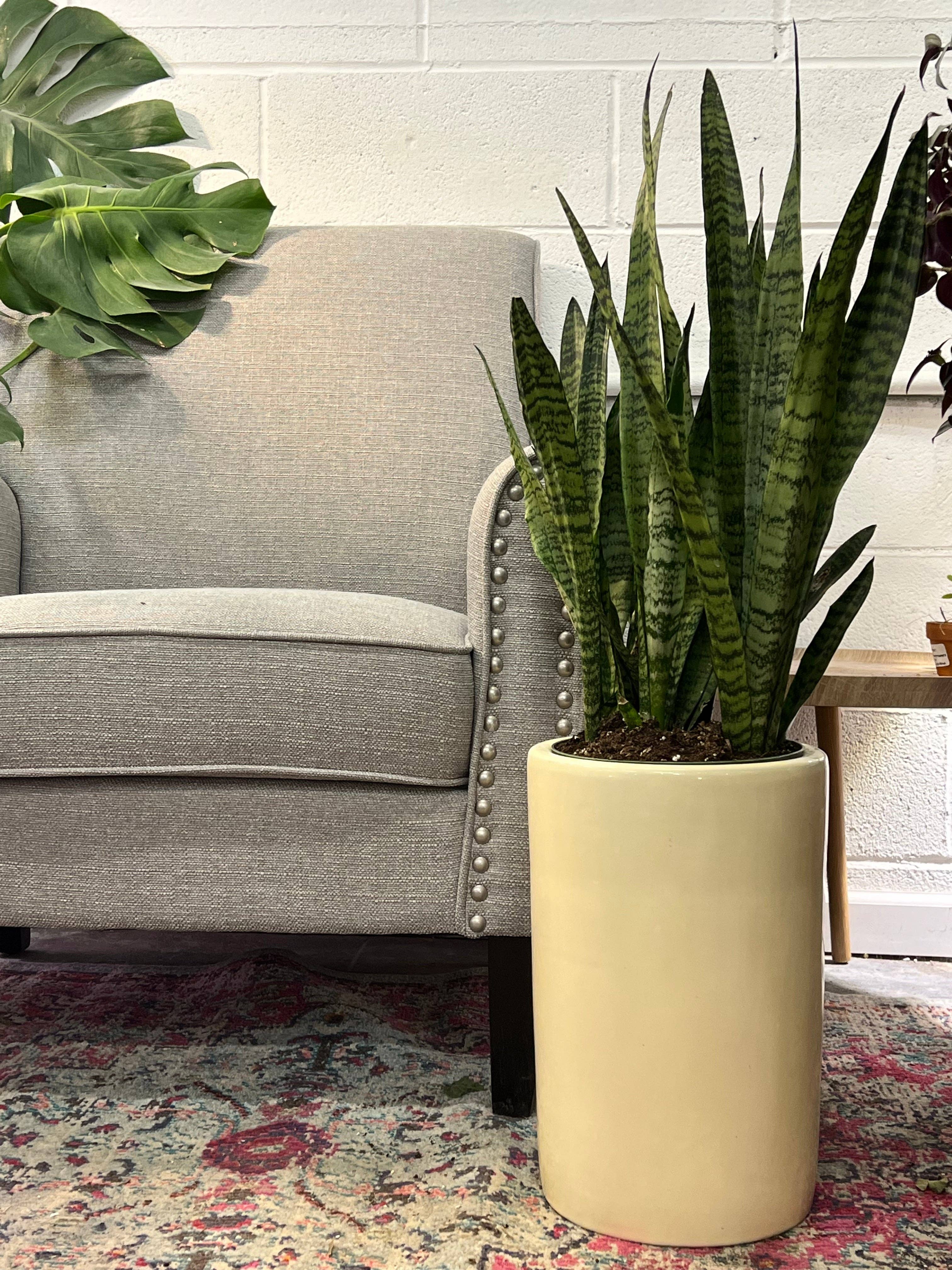 UPshining - Wholesale Plant Pot - 9.5" Ceramic Tall Planter(Plant Not Included)3