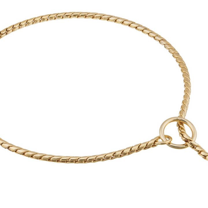 Alvalley – wholesale Halsband - Hund – Slip snake kedjehalsband för hund14