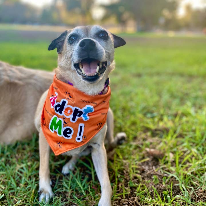 Giving Paws - Wholesale Pet Bandana - Dog - "Adopt Me" Dog Bandana