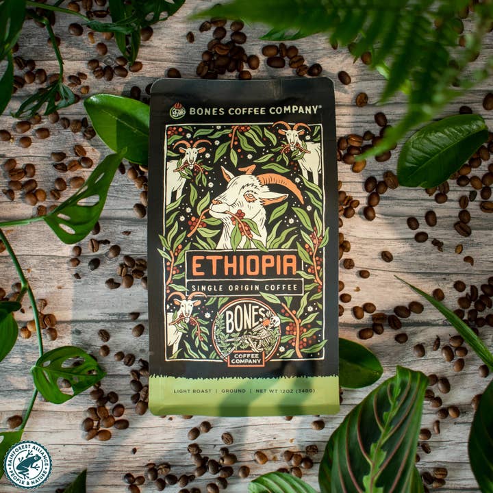 Bones Coffee Company - Wholesale Coffee Beans - Ethiopia Single-Origin Coffee | 12oz | Whole Bean & Ground7