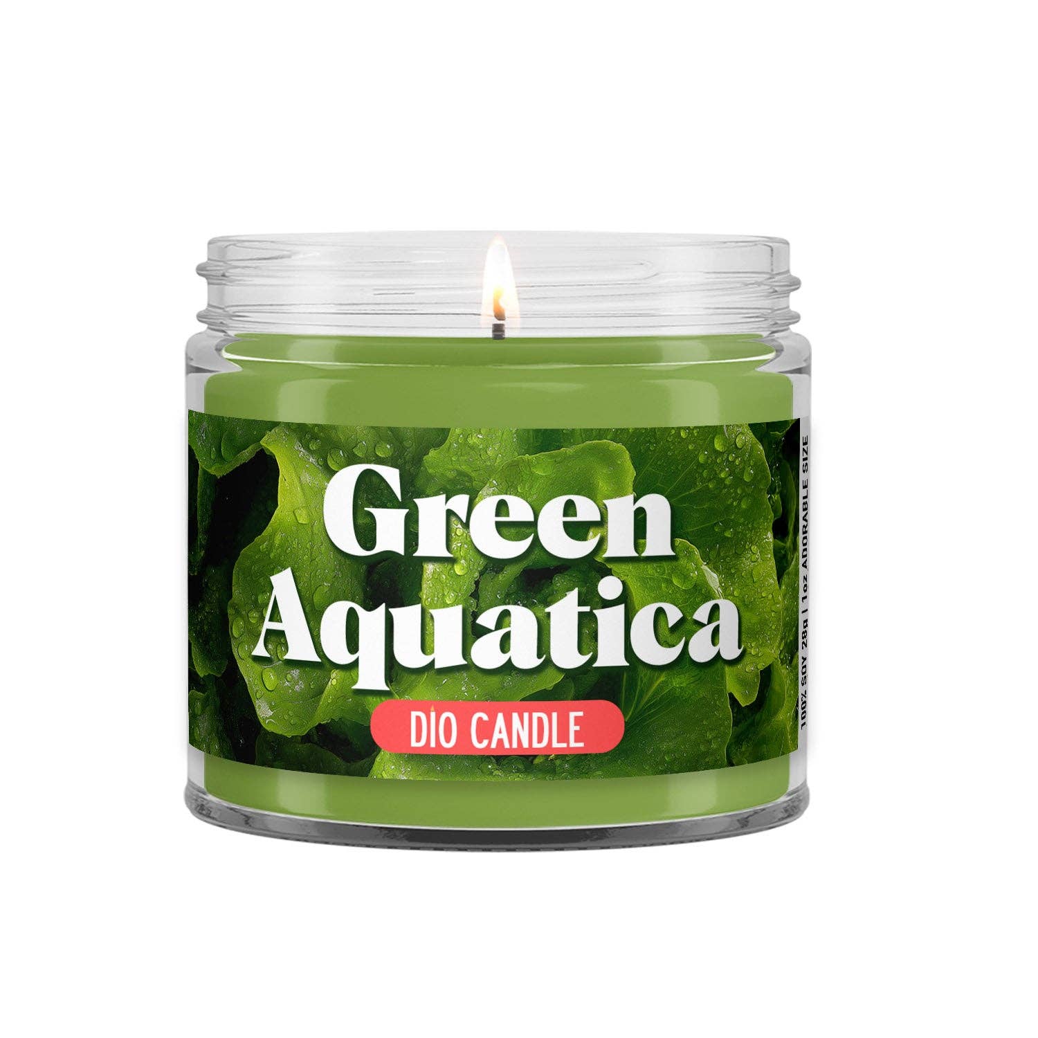 Dio Candle Company - Wholesale Jar/Filled Candle - Green Aquatica Candle2