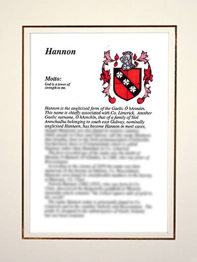 Hannon for wholesale by Family Histories