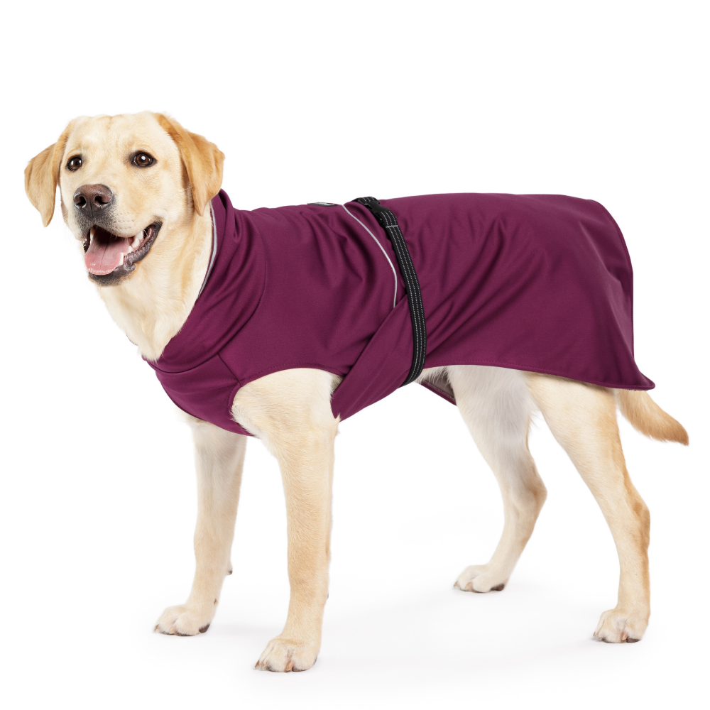 Gold Paw Series – Engroshandel Regnovertræk - Hund – RainPaw II hunderegnjakke – opdateret pasform og stil0