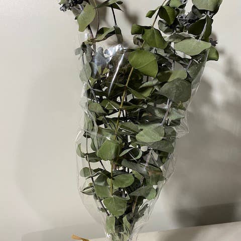 Purple Rain Lavender Farm - Wholesale Dried/Pressed Flowers - Eucalyptus Bouquet or Shower Bundle