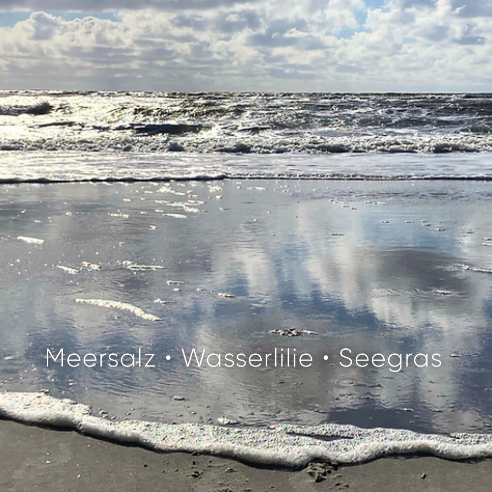 MISS MERLE Duftmanufaktur - Wholesale Travel Candles - Maritime Scented Candle "For You from the Heart", 90g1