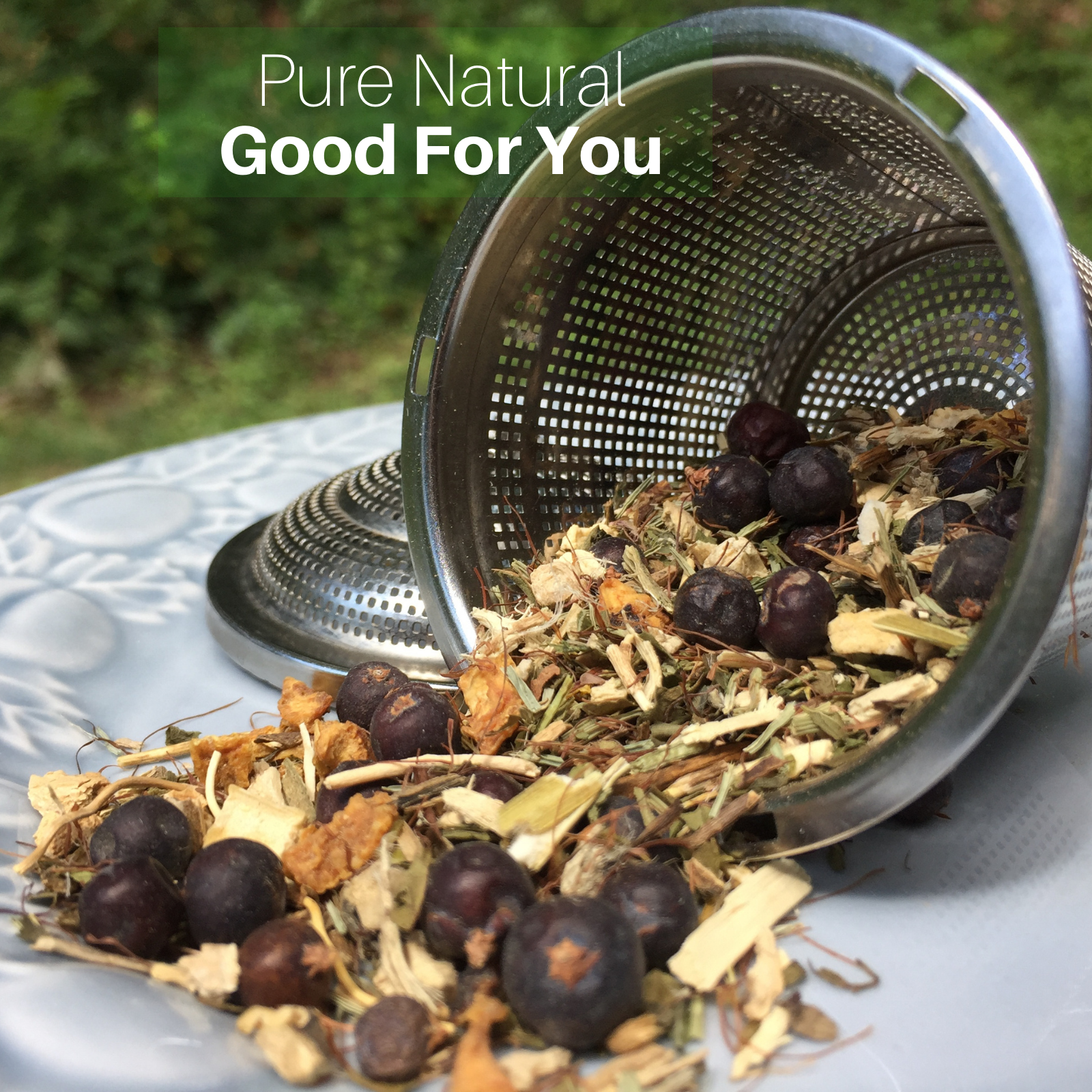 SpeedyVite® - Wholesale Health/Detox Tea - SpeedyVite® Kidney LifeBoost® Tea USDA Organic & Wildcrafted5