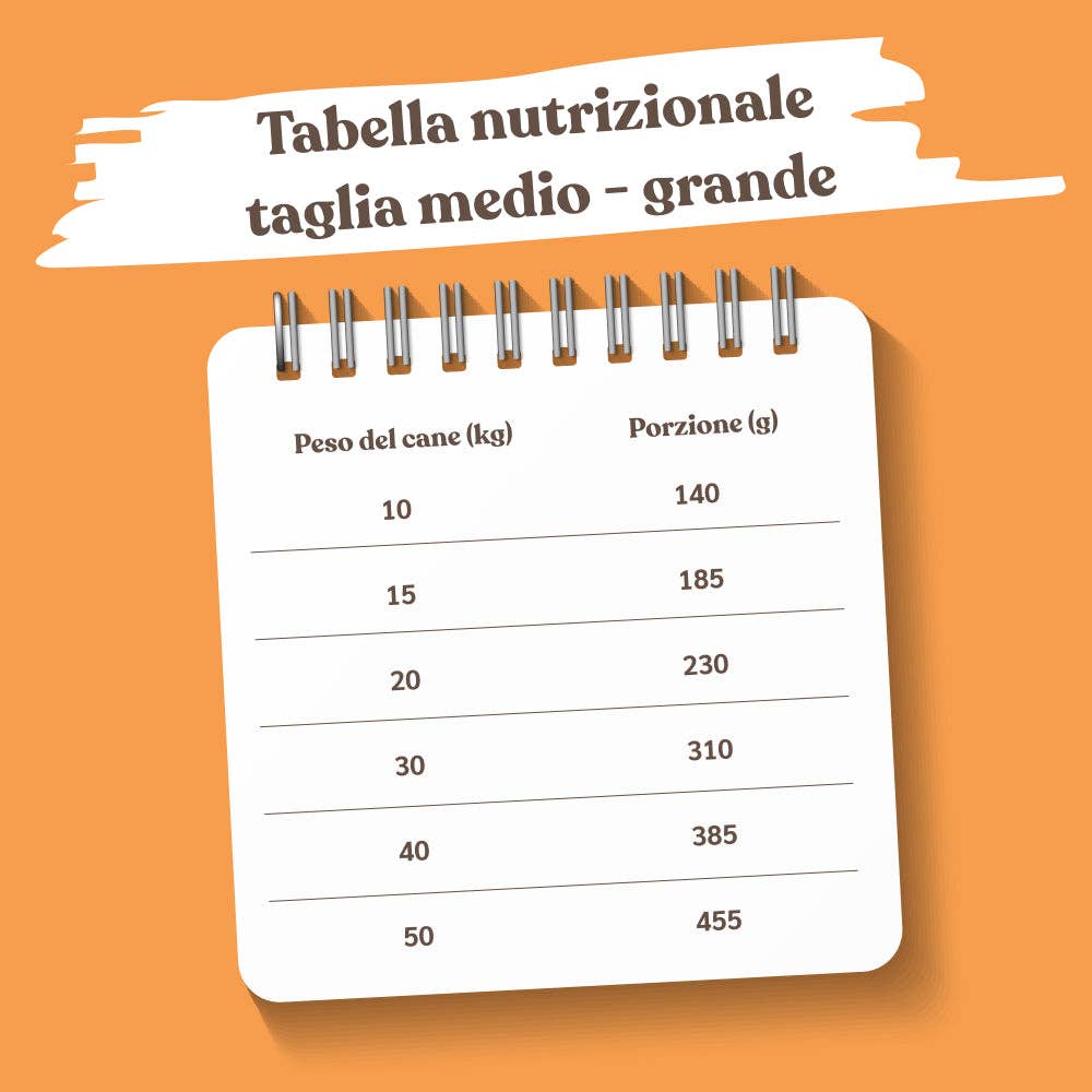 Pettech S.r.l. - Wholesale Pet Treats - Dog - Kibble with Fresh Salmon, Peas, and Apple for Adults3