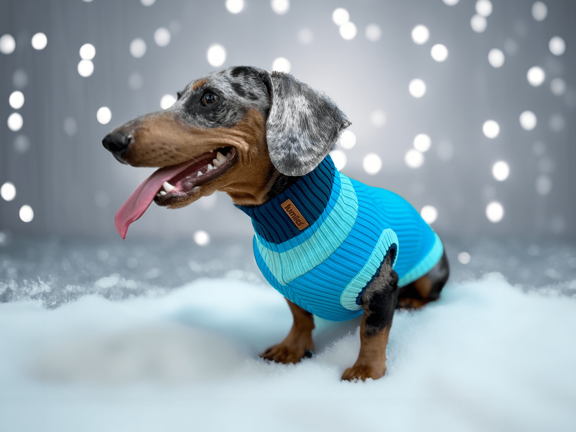 CRYSTAL SKY THE GLOW JUMPER (knitted dog sweater, blue) for wholesale on Faire2