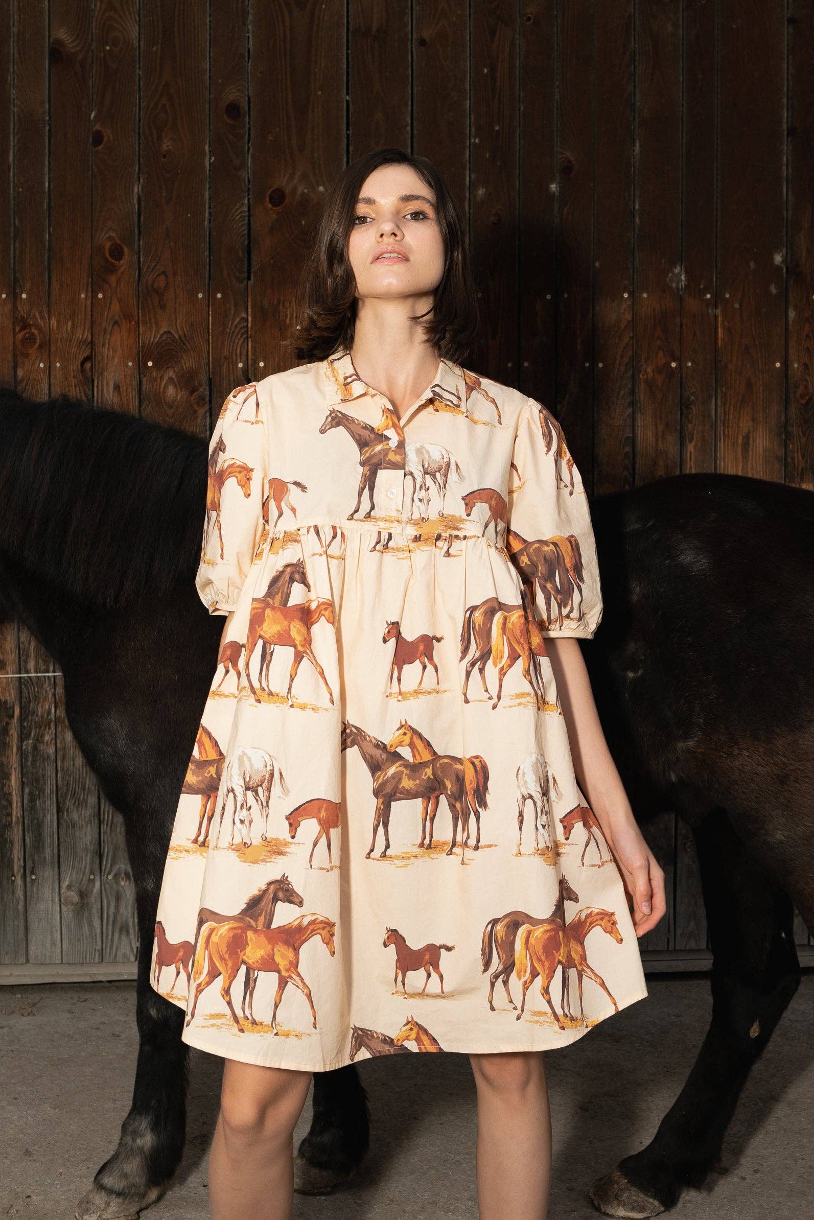 Farewell Frances - Wholesale Dress - Women's - Horse Gwen Dress G25 Sz S - XXL