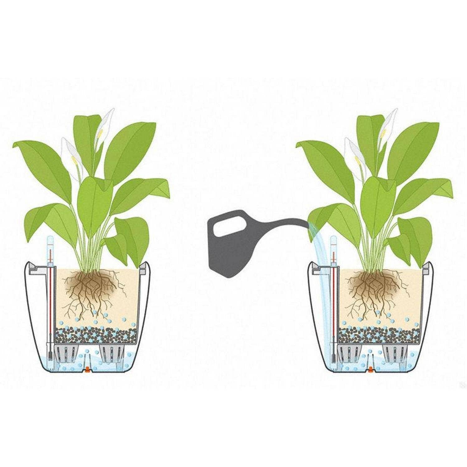 Lechuza Self Watering Planters - Vendita all'ingrosso Vasi per piante - Fioriera quadrata LECHUZA QUADRO LS Poly Resin22