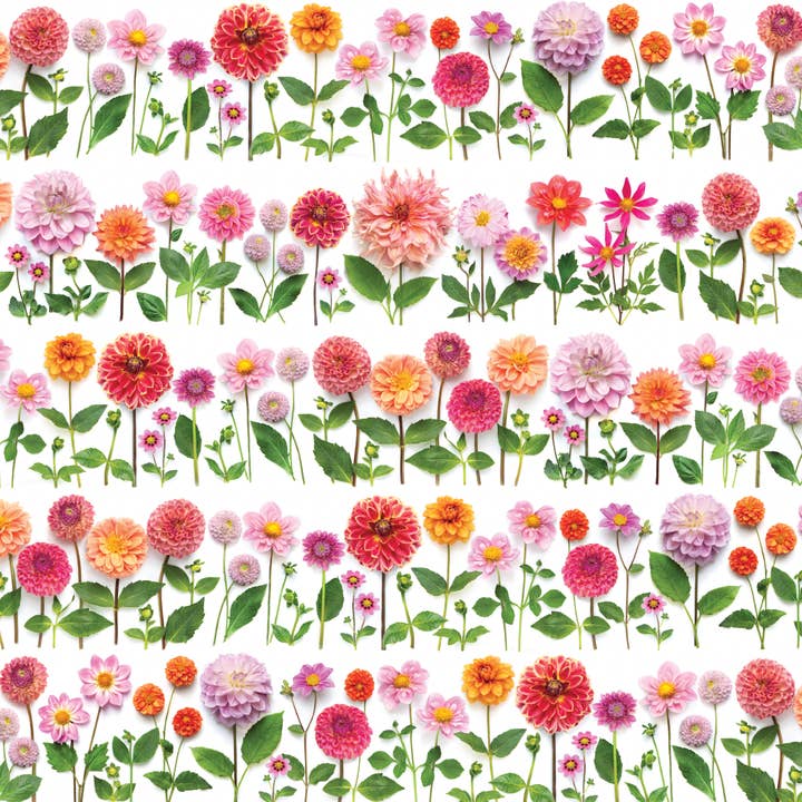 Bottle Branch - Wholesale Wrapping Paper Roll - Gift wrap ~ Dahlia2