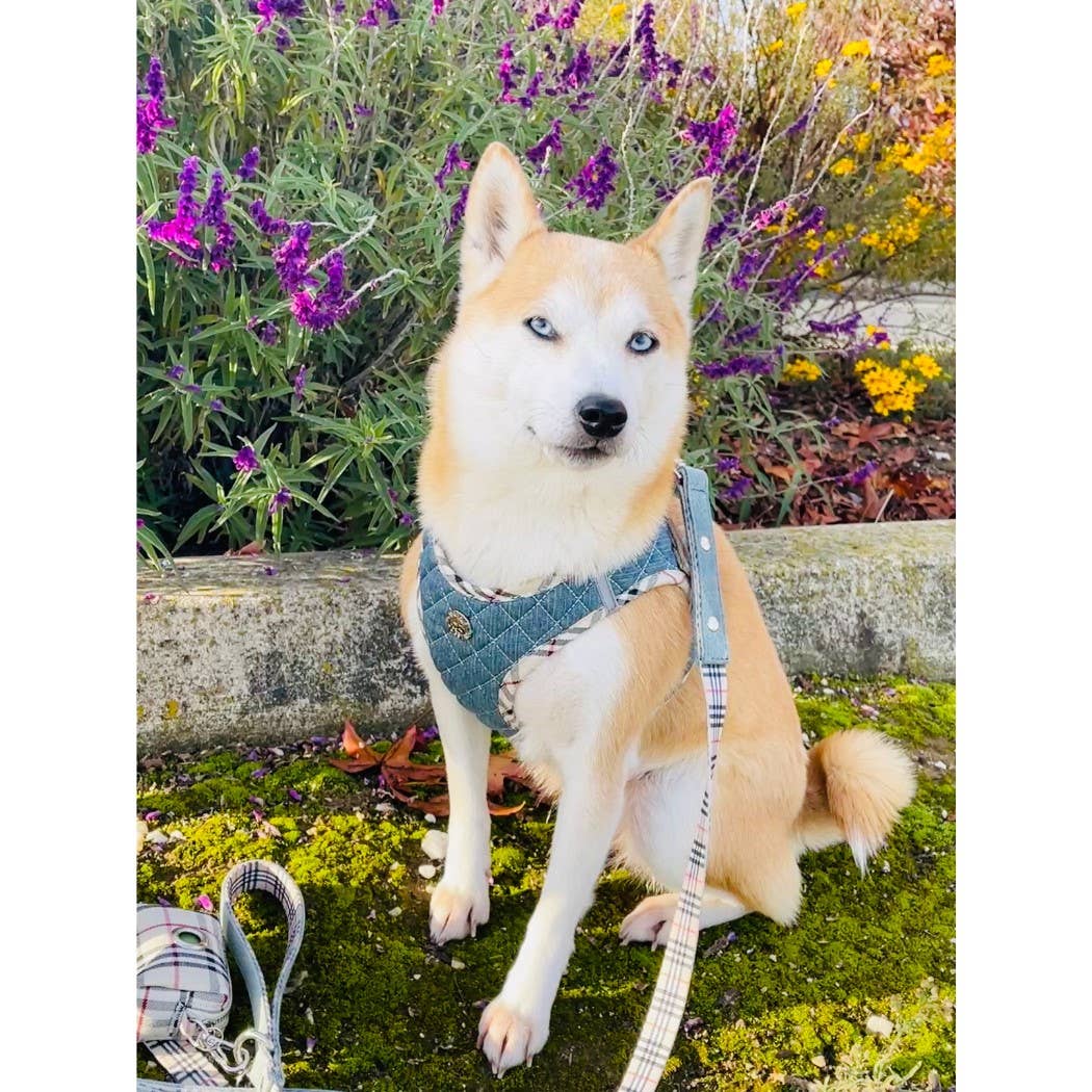 Urban Dog Stars - Wholesale Pet Harness - Dog - Step-In Denim Harness - Beige Plaid4