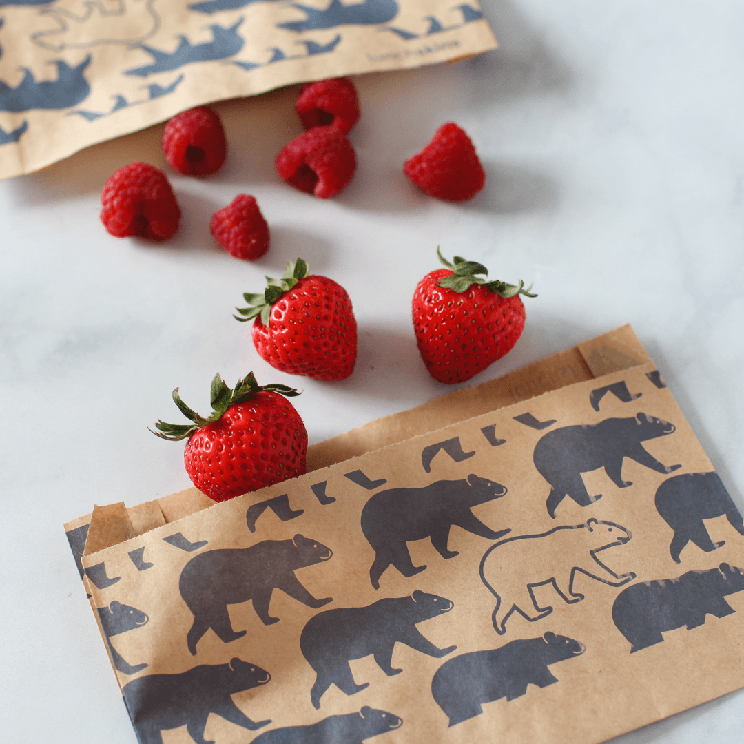 Lunchskins - Wholesale Food Storage Wrap/Bag - Compostable Snack Bags 50ct – Bear Print2