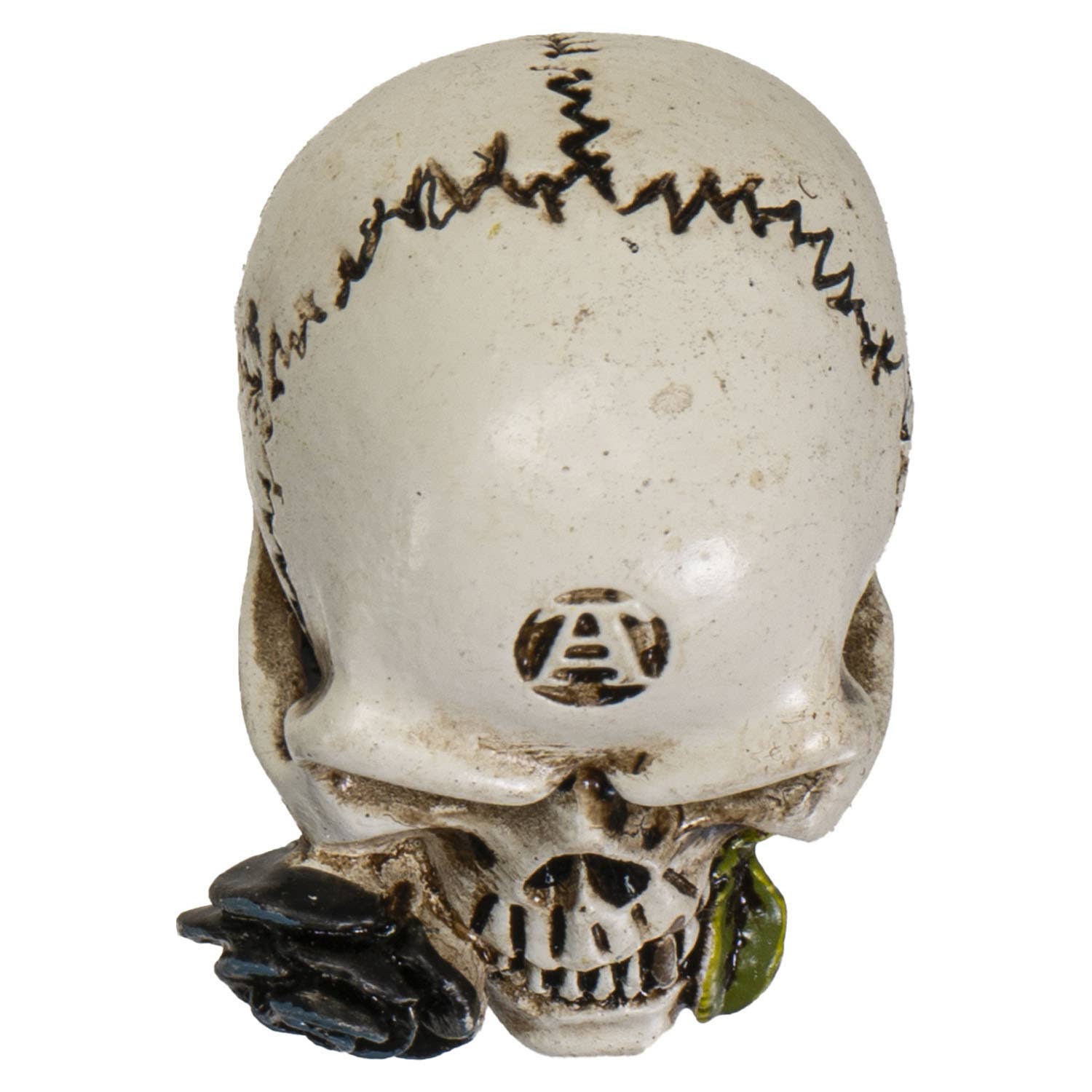 Pacific Trading - Wholesale Decorative Figurine - Alchemy Skull Mini4