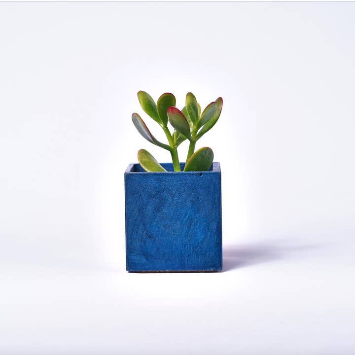 Junny - Wholesale Plant Pot - Mini Plant Pot - Petrol Blue Concrete