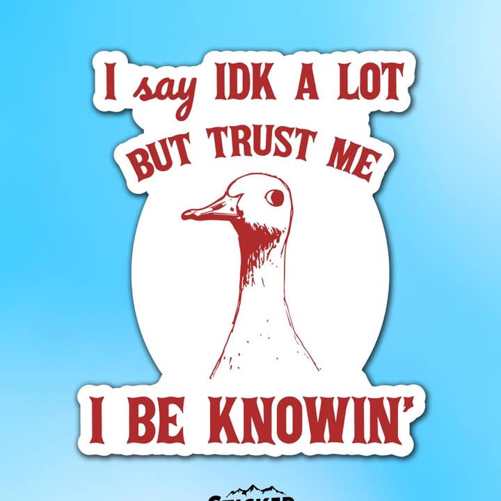 I Say IDK A Lot But Trust Me I Be Knowing Vinyl Sticker for wholesale by Sticker Lodge