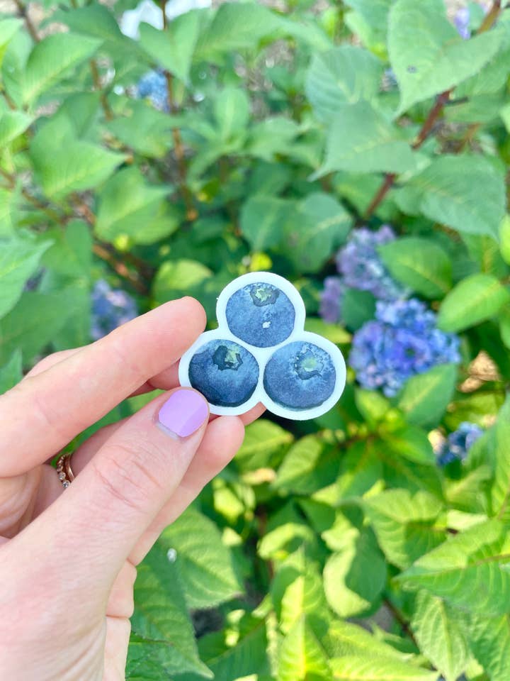 Triple Little Blueberry Aufkleber für den Großhandel von Ellen Schaefer Art