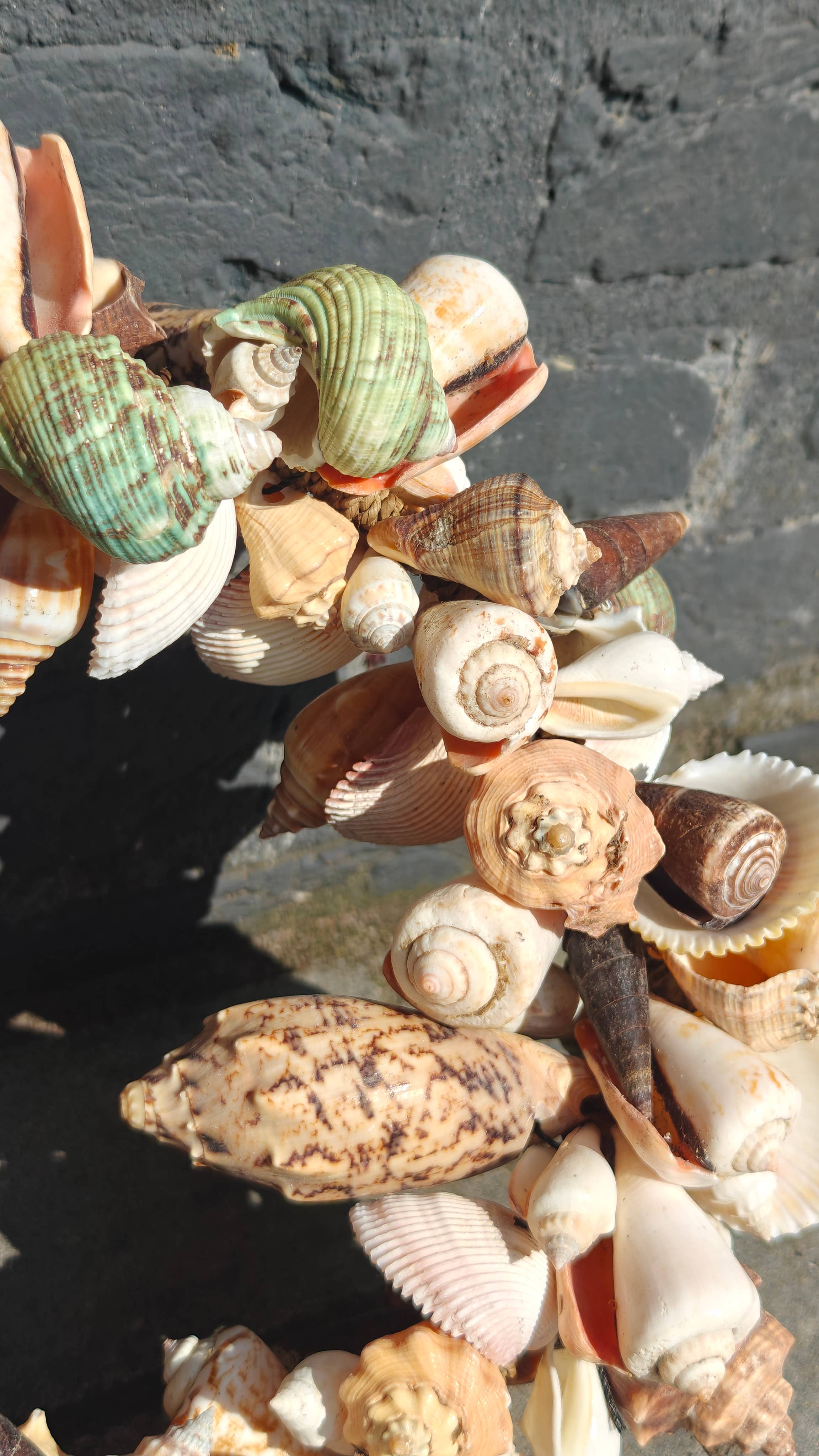 Product Import Holland - Wholesale Wreath - Shell wreath 28 cm - coast - decoration - wall hanging - beach2