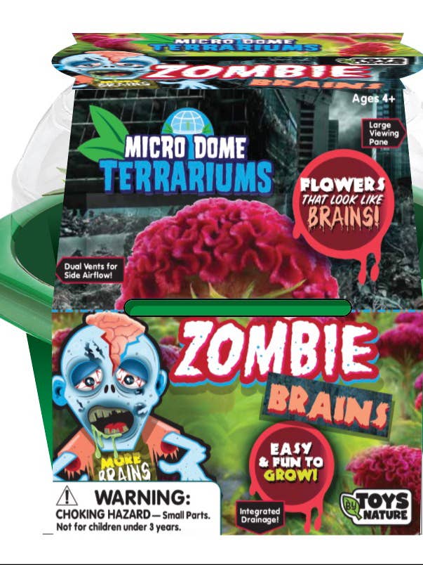 Zombie Brains Micro Terrarium for wholesale by Silver Circle Products