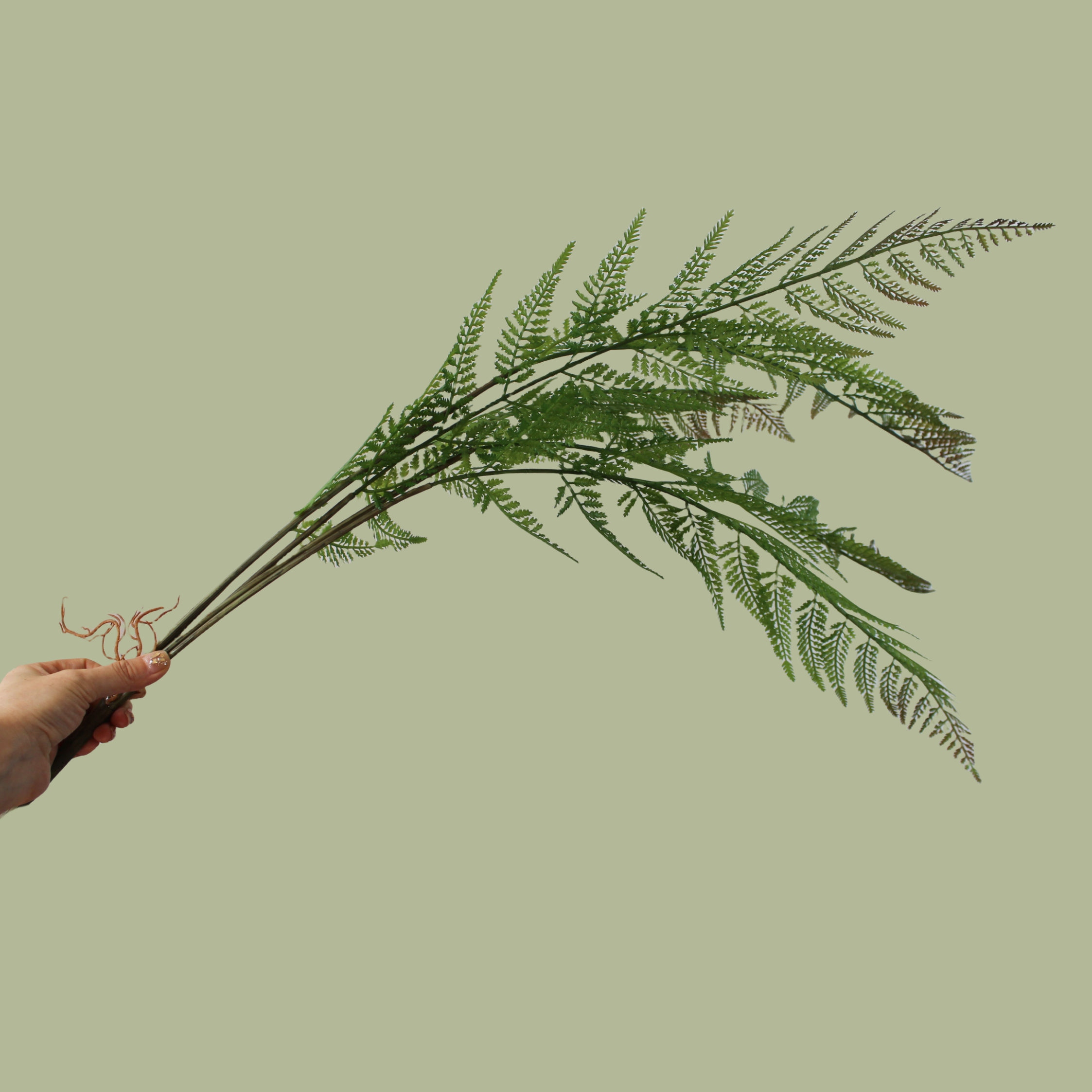 ACNITE(We cover U.S. import duties) - Wholesale Artificial plant - Artificial Fern leaves for vase filler large green branches5