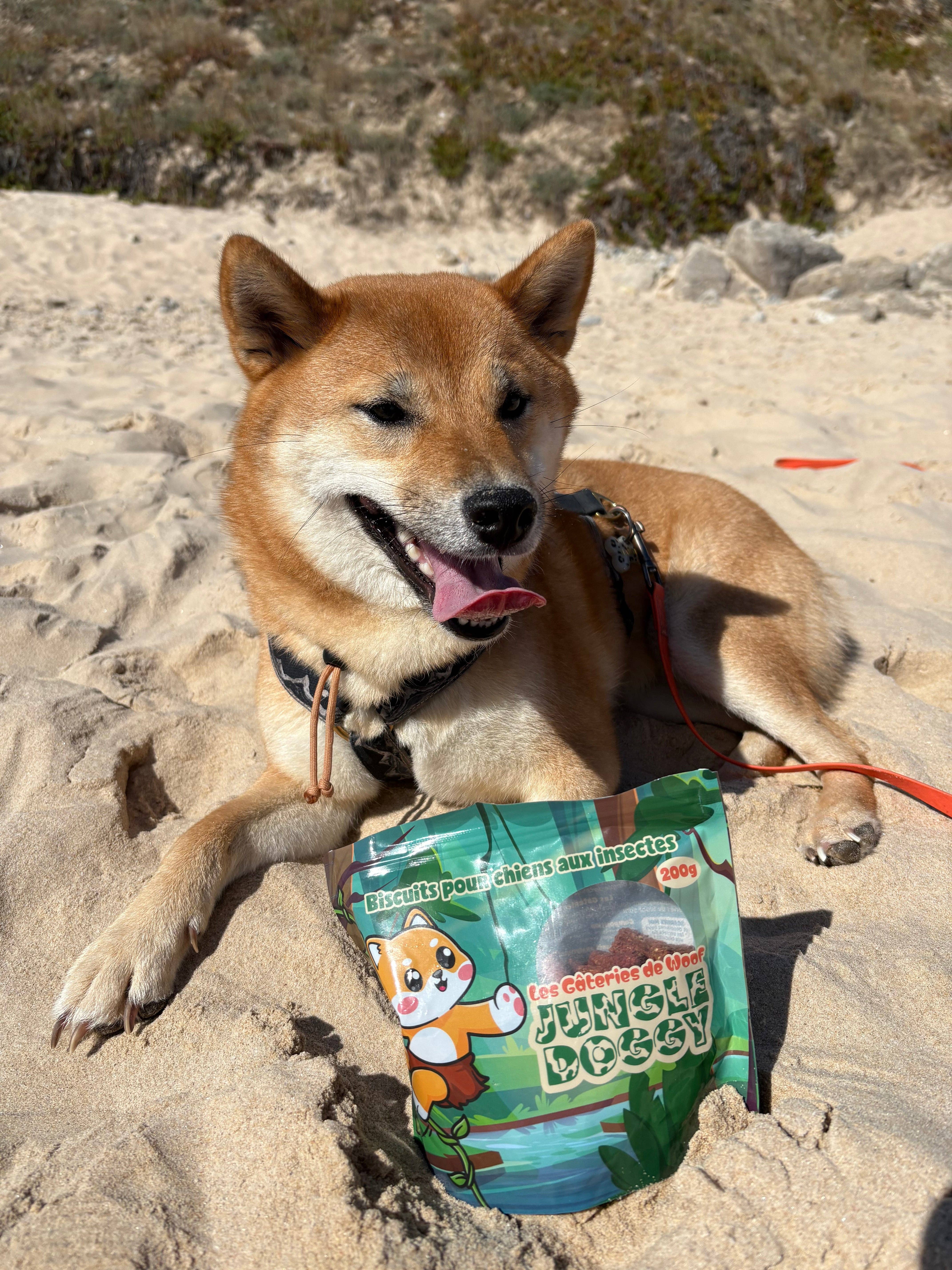 Woof’tastic - Wholesale Pet Treats - Dog - Jungle Doggy - Crunchy dog biscuits with insects2