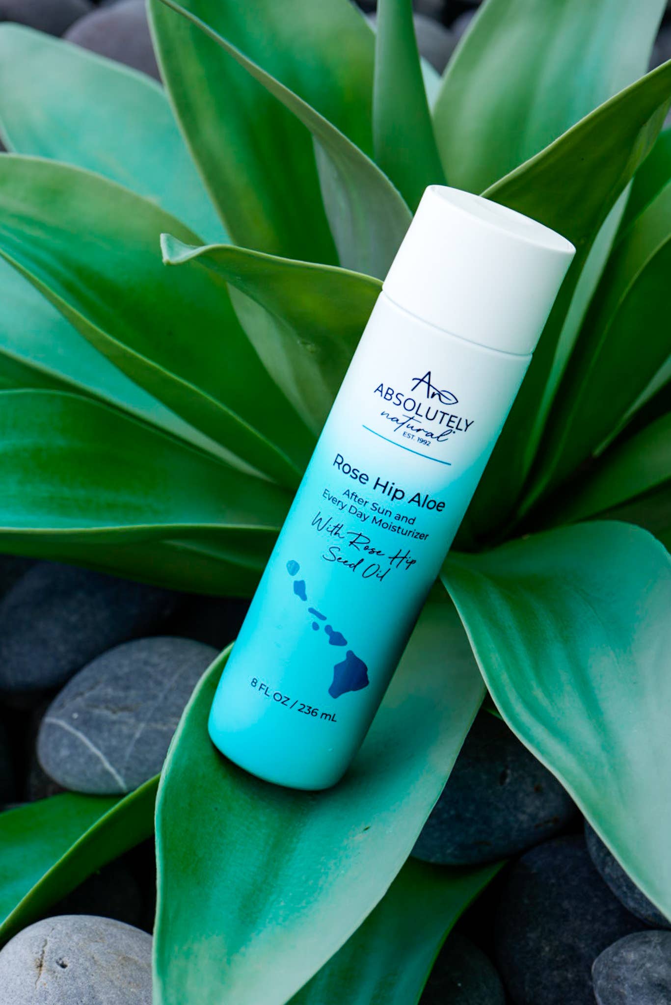 Absolutely Natural Skincare - Wholesale Body Cream/Lotion - Rose Hip Aloe Lotion6