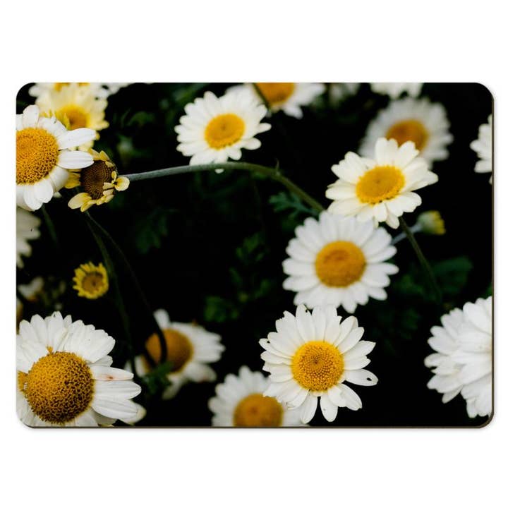 Gregory Dennis Design - Wholesale Placemat - 6 Floral Placemats - Daisy3