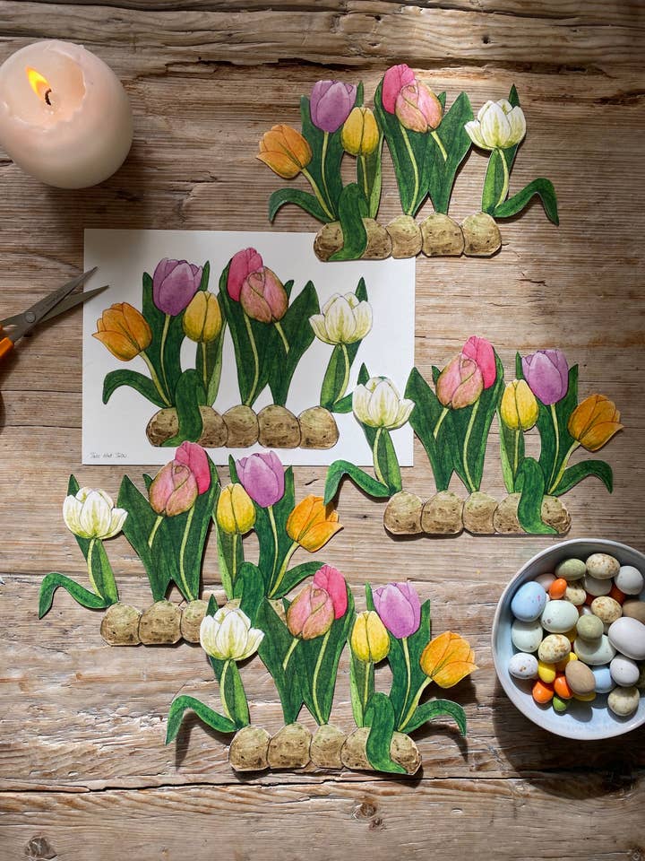 Tulipas por atacado de Tall Hat Tales