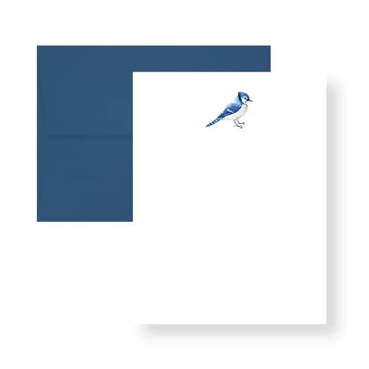 Blue Jay Note Card Set for wholesale by Kramer Drive