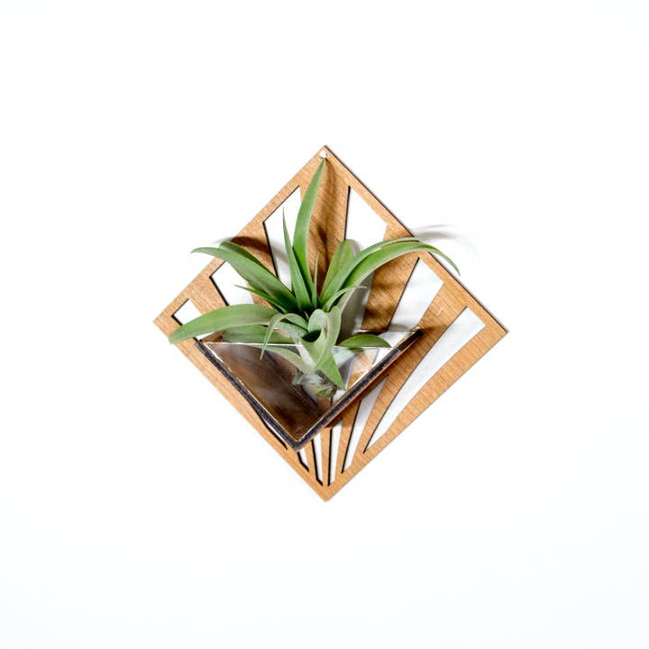 LIGHT RAZOR DESIGN STUDIO - Wholesale Wall planter - Air Plant Holder / Quadrate Wall Hanging Planter 268