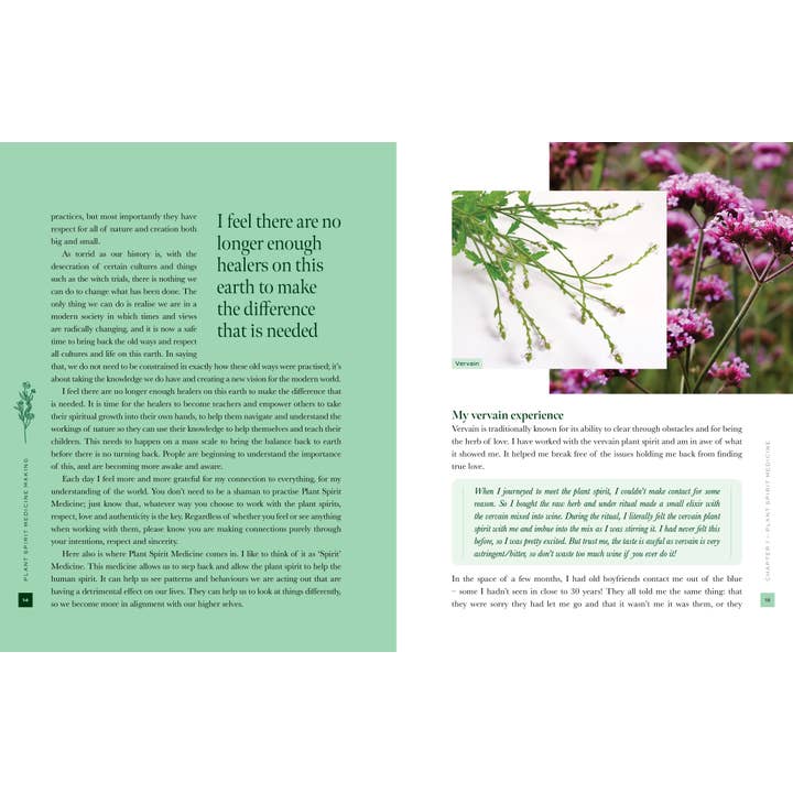 ROCKPOOL PUBLISHING - Wholesale Nature & Outdoors - Plant Spirit Medicine (Hardcover)5