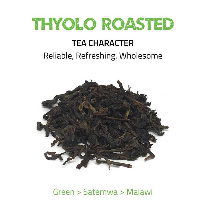 Tea Rebellion Canada - Wholesale Loose Tea - Thyolo Roasted Green - Green Tea | 200g L-Leaf - FOODSERVICE1