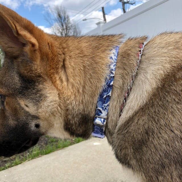 Very Vintage Designs - Wholesale Pet collar – Cat/dog - Blue Dog Collar Floral Vintage Style Royalcore Handmade USA4