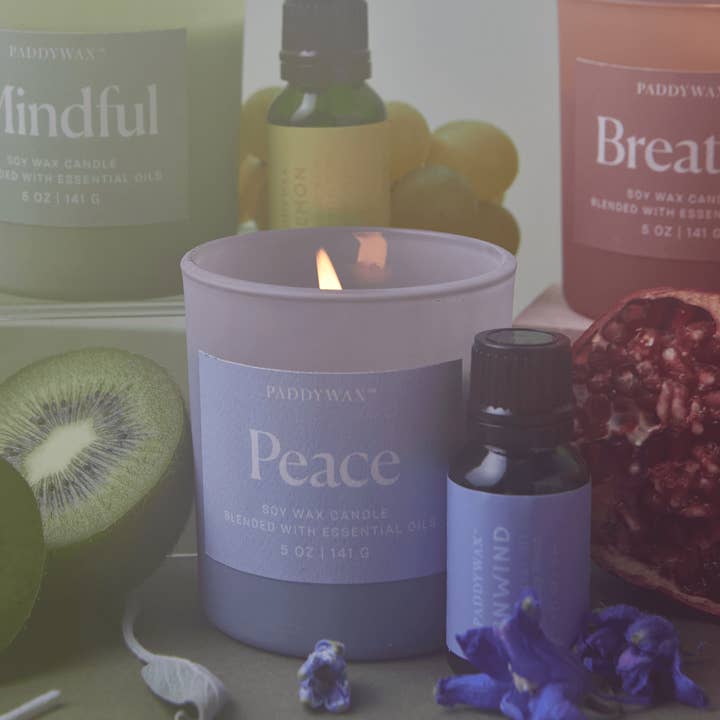 Designworks Collective - Wholesale Jar/Filled Candle - Paddywax Wellness Glass Candle - Blue - Peace2