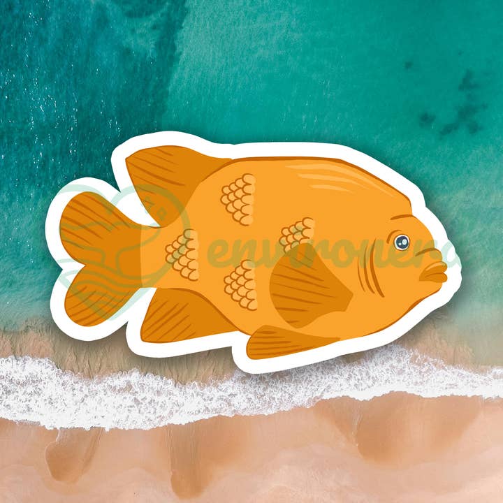 Garibaldi sticker for wholesale by Environerd