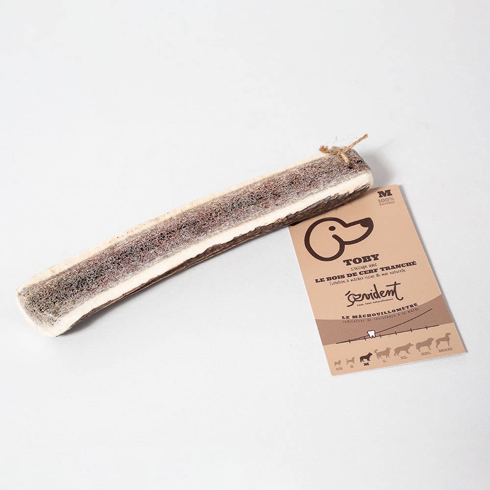 Evident - Wholesale Pet Bone/Rawhide - Dog - TOBY - Sliced deer antler to chew for dogs4