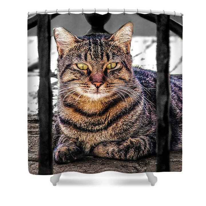 TENDA DA DOCCIA "THE CALCATA'S TIGER CAT" per la vendita all'ingrosso da parte di sorayadapuzzostore