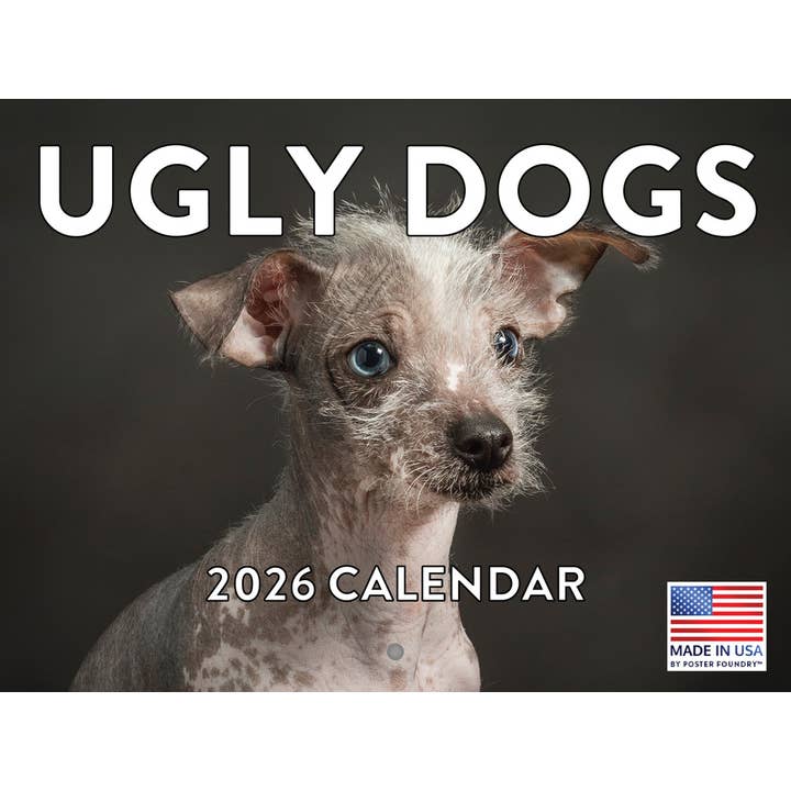 Calendário Mensal de Cães Feios 2026 por atacado de 2026 Calendars