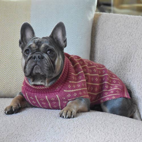 Finnegan’s Standard Goods - Wholesale Pet Sweater - Dog - Tahoma Sweater 4