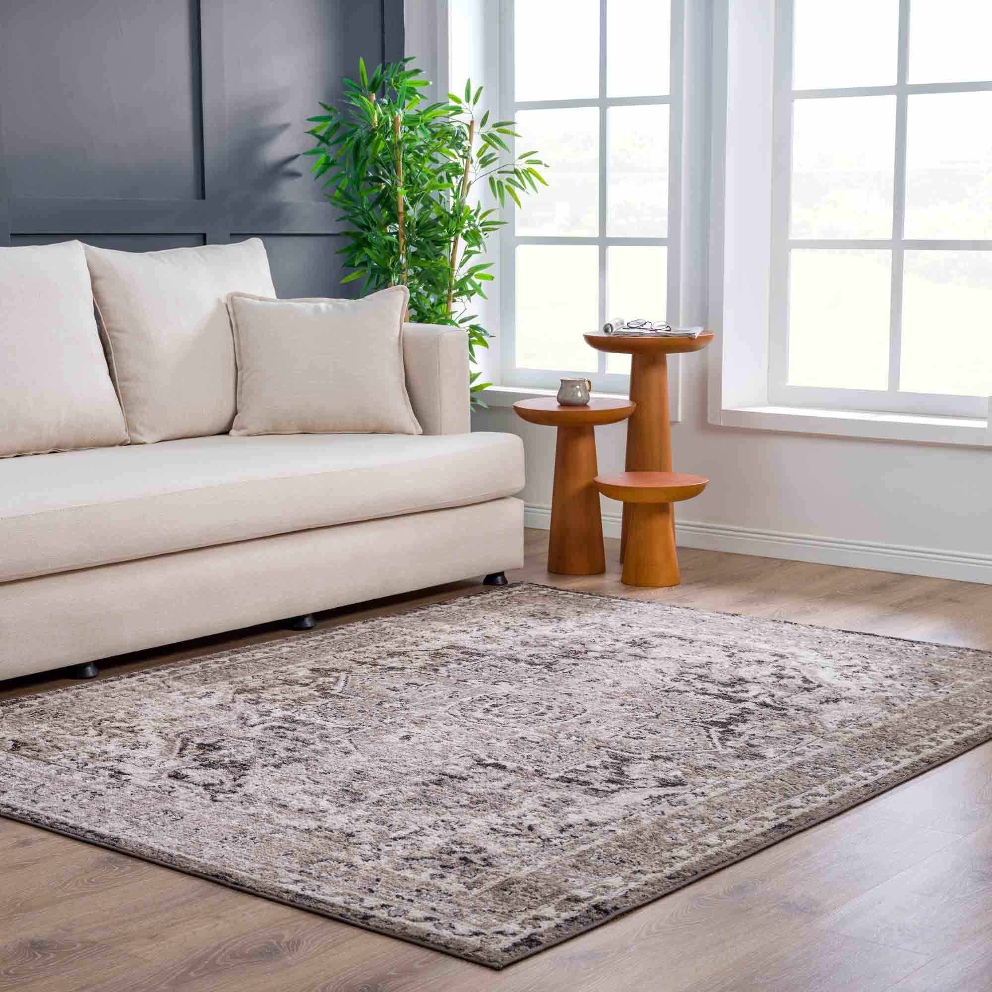 Hauteloom - Wholesale Area Rug - Albie Charcoal & Beige Area Rug11