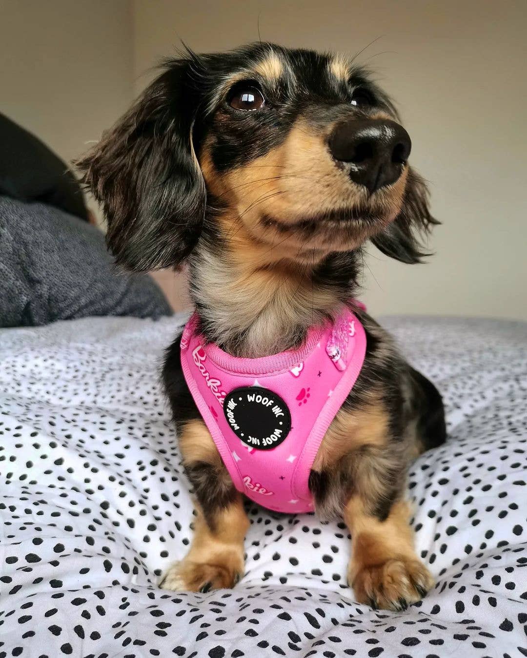 WOOF INC - Wholesale Pet Harness - Dog - Pink Barkie Dog Harness XS - L7