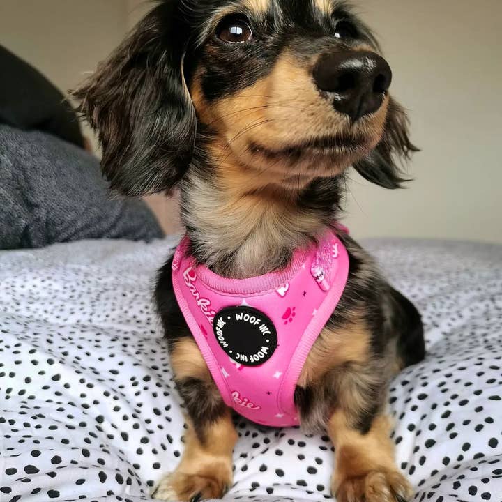 WOOF INC - Wholesale Pet Harness - Dog - Pink Barkie Dog Harness XS - L7