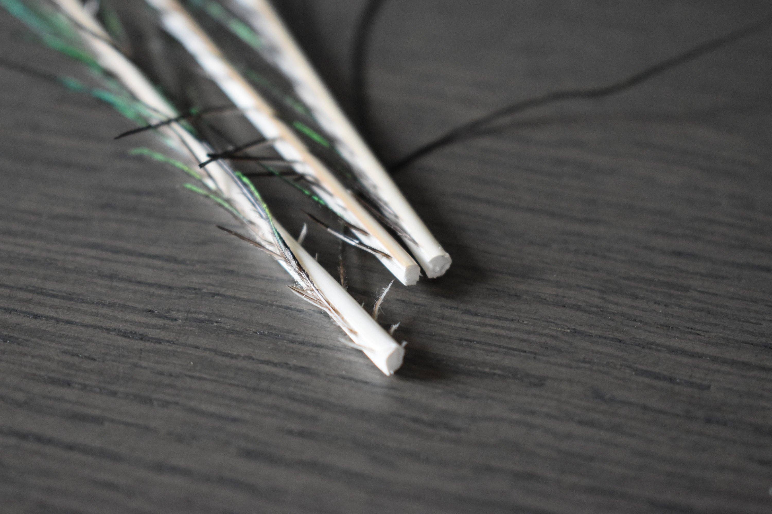 Plumes Naturelles - Wholesale Gedroogde/geperste bloemen - Peacock Feathers zwaard 25 centimeter9