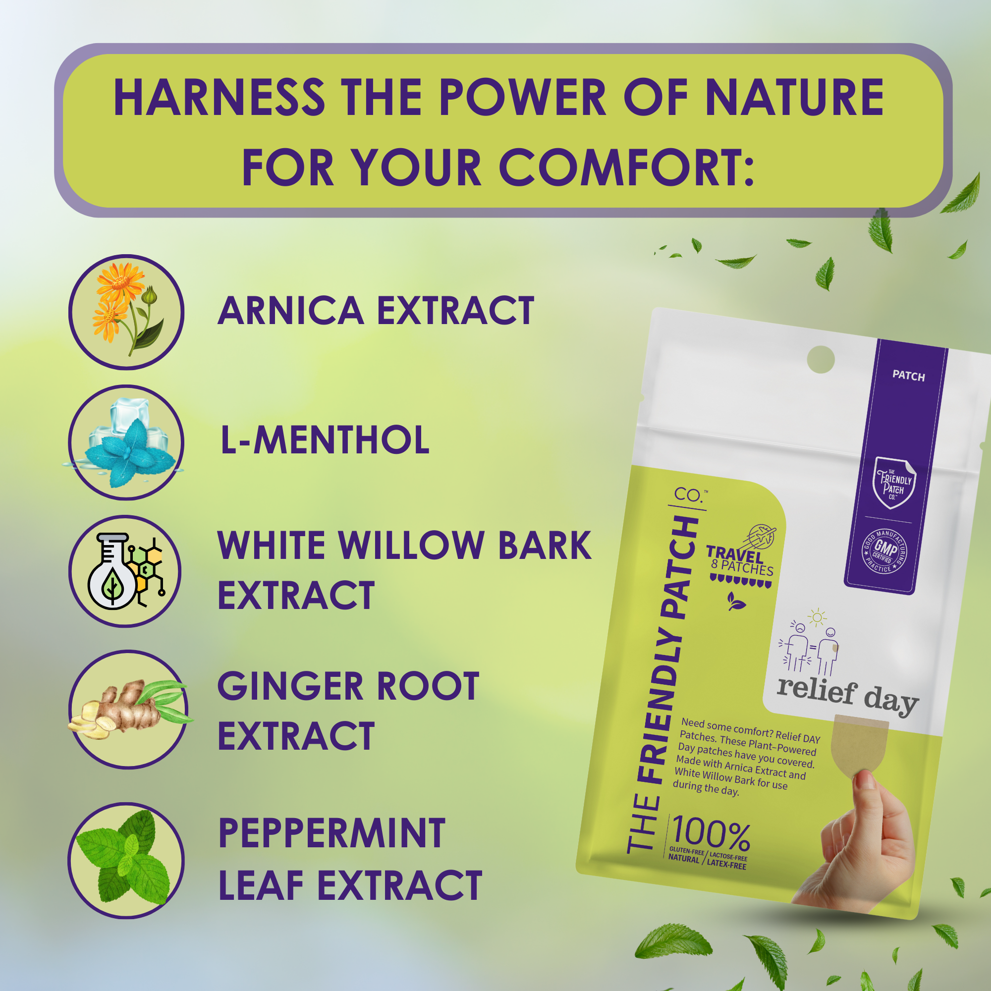 Friendly Patch CO - Wholesale Pain Relief Spray/Cream - Relief Day Pain Patch - Arnica, White Willow Bark, Menthol4
